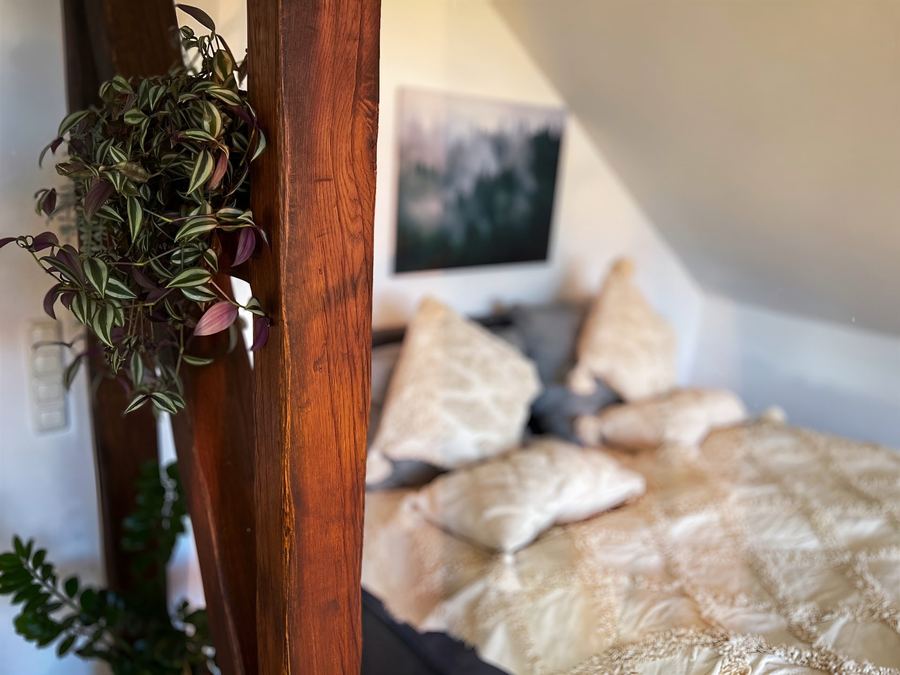 Holzbalken mit Hängepflanze vor dem Boxspringbett